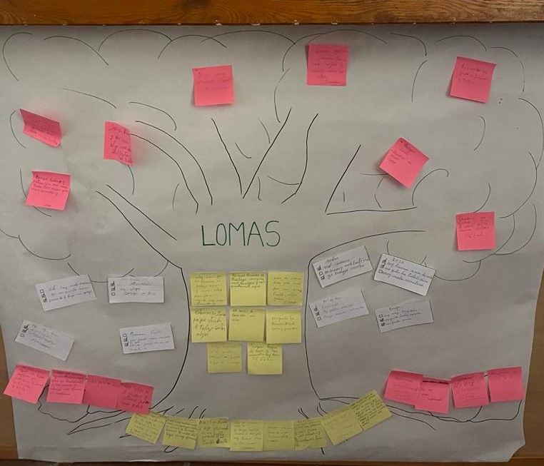 Actividades de dinamización comunitaria en Lomas
