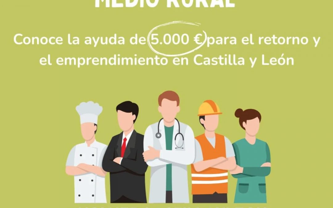 PROGRAMA «VOLVER A CASTILLA Y LEÓN»