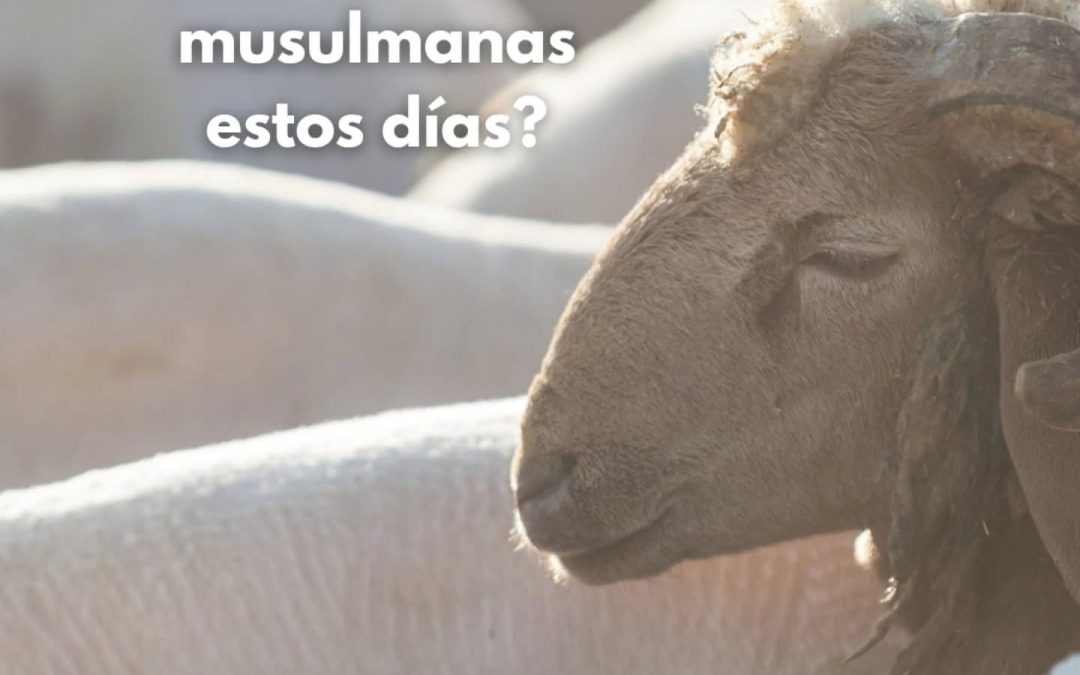 La Fiesta del Cordero: una celebración de generosidad, comunidad y puertas abiertas